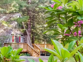 A-Frame of Mind Retreat - Meredith Lodging